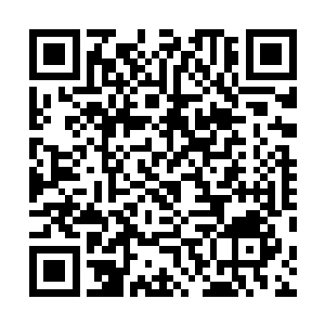 也明白了为什么张卫国和刘海仿佛发疯一般出那么高的价二维码生成