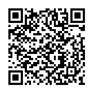 也明白小丁猫的意思了――小丁猫等着自己过去二维码生成