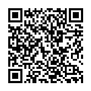 也明白张潇晗为什么会让雷圣蓝优先行交流并没有不满二维码生成