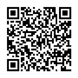 也明白当年黄泉天地的黄泉天尊为何要抢走无上青罗塔二维码生成