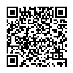 也是……当时大当家被迫签署了不动用多因果兵器协议二维码生成