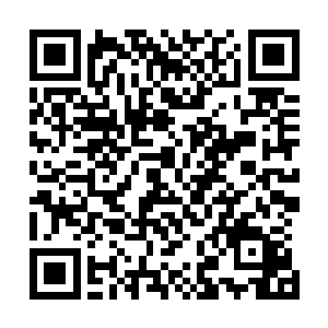 也是三十六洞天福地所有天极弟子当中实力拍在前列的天才二维码生成