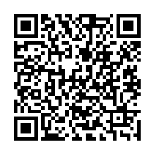 也是不在犹豫脚步一抖瞬间朝着苏凡等人冲了过去二维码生成