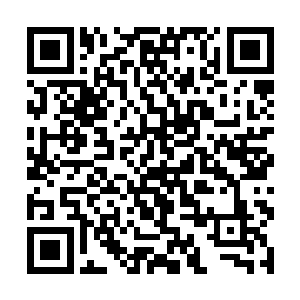 也是为了夺占龙宫水府以为本族繁衍栖息的根基之地二维码生成