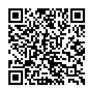 也是为了当初自己以自己的名义和笑君主的名义二维码生成