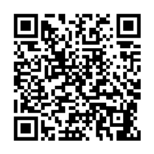 也是为什么热爱表演的演员都会向往和走上舞台二维码生成