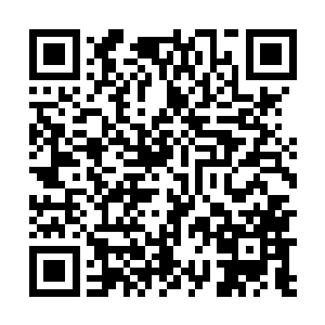 也是为将来适当的时候对卢向东进行追责埋下一个伏笔二维码生成