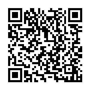 也是为花旗银行提供帮助的律师团队的重量级角色二维码生成