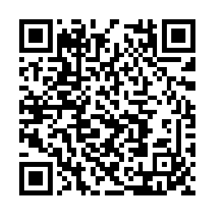 也是之前叫嚣着要将大坤剑府铜剑榜一网打尽的人二维码生成