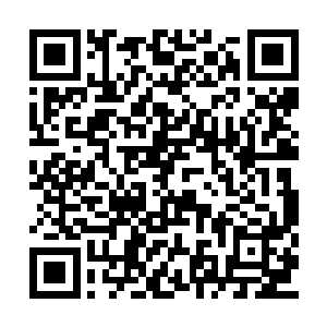 也是他们在德国联赛杯决赛中曾经击败过的对手二维码生成