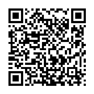 也是他在得到这个天赋以后赢下上百局比赛以后赢来的自信二维码生成