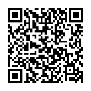 也是华歌唱片那边的一众人等满心期待至少保持平稳的这一周二维码生成