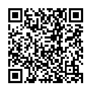 也是发现丁羽从自己身体当中取出来的动静是什么东西二维码生成