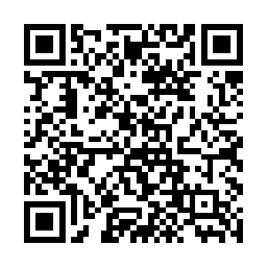 也是可以一并带进宫来与女眷们一起觐见皇后娘娘的二维码生成