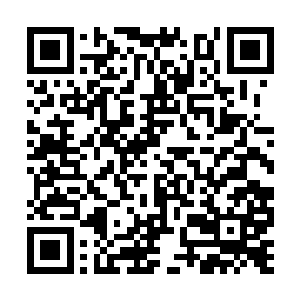 也是可以发动这种快到让他无法应对的攻击的……二维码生成