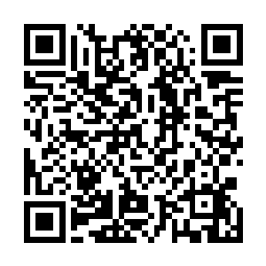 也是唯一一个曾经看过萧易穿着这种正式的西装出现的人二维码生成