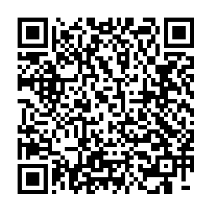 也是唱着那一首自己曾经唱过的歌――所以张大导演就想给他一次机会二维码生成