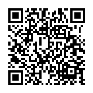 也是因为军营的事情一切都有马远腾他们三个替李锐管理二维码生成
