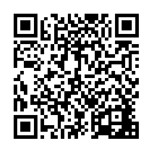 也是因为她在城里和别人开办了一个流民所收容流民的事情二维码生成