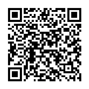 也是因为她想去主动结识这位可能成为她义父的老人二维码生成