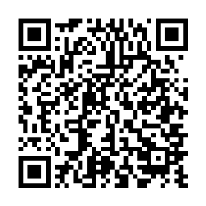 也是因为她有这些技能傍身而不至于为了一日三餐发愁二维码生成