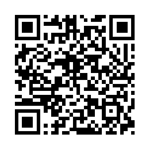 也是因为我的修为的确达到了初期的极限二维码生成