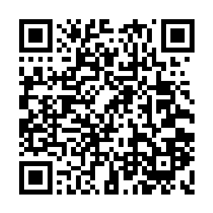 也是因为暴君从来没有和这么诡异的风格打斗过二维码生成