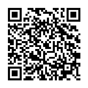 也是因为李谦挂名担任了这部动画电影的导演的关系二维码生成