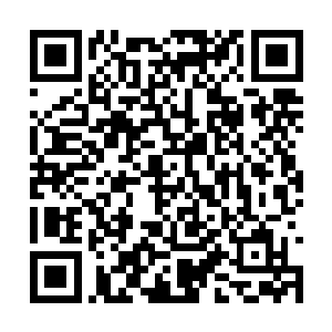 也是因为雨季刚过不久这里的芦苇长得还算是不错二维码生成