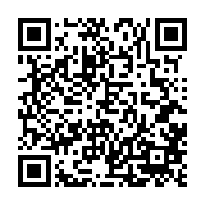 也是因为雷爆珠炸开的威力往往相当于同境界的修士自爆二维码生成