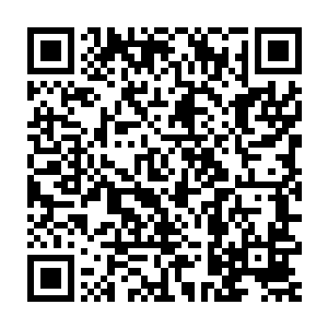 也是在森林里兜兜转转了好几天之后――或许是有两天没碰女人了二维码生成