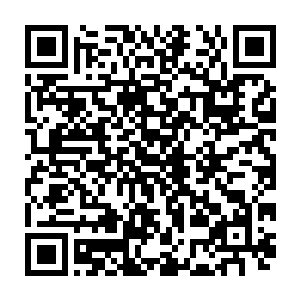 也是她走之前留给我的~其中提及要等阿离达到仙人级才能打开手札最后一页翻看二维码生成