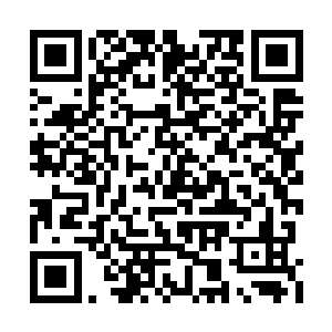 也是巧了……正好飞到了那恶鬼头部的缺口里去二维码生成