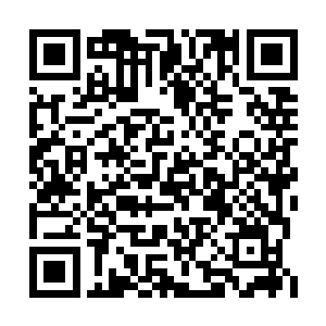 也是张卫东目前遇到的妖兽中个体实力最强大的二维码生成