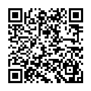 也是张铁第一次完整的吸收了一个大地骑士的地之脉轮二维码生成