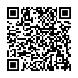 也是很好的佐证假如是院方故意让他产生记忆缺失的二维码生成