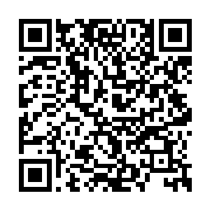 也是徒劳……即便三十六亿年前的人族真神领袖二维码生成
