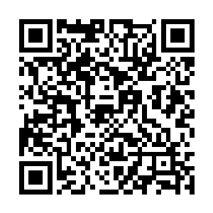 也是想要将虚空盘和八卦盘给好好的研究一下罢了二维码生成