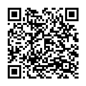 也是想让她们打听打听蓝水倾今天有没有向小郡主求情的事情二维码生成