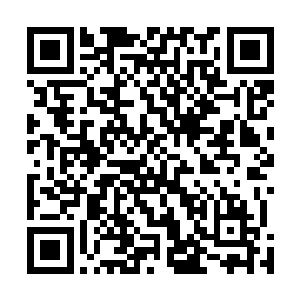也是想通过除掉红男爵来阻止秘社组织发起新一轮的扩张二维码生成