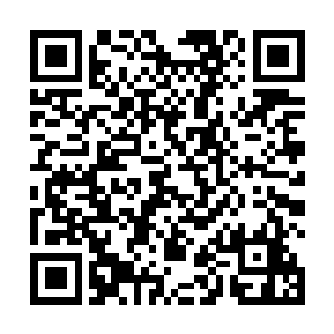 也是我爸爸为了纪念我妈妈取得她名字温婉的婉字谐音二维码生成