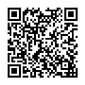 也是所有还活着的人族将士们心中难以抹去的伤痕二维码生成