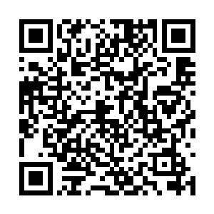 也是整个东方大陆和太夏在地下世界最坚实的堡垒二维码生成