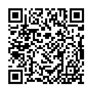 也是整个第二大厅里唯一一个拥有魔法锁的宝箱二维码生成