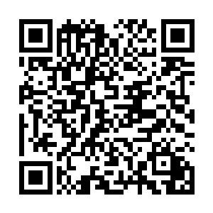 也是最有希望获得掌教位置的少掌教冷秋然之间的竞争二维码生成