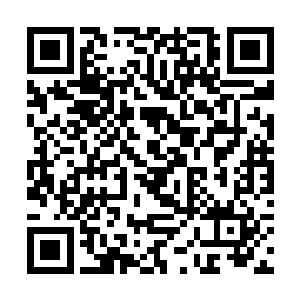 也是杨辰昨晚亲眼所见的……杨烈他……被奸人利用二维码生成