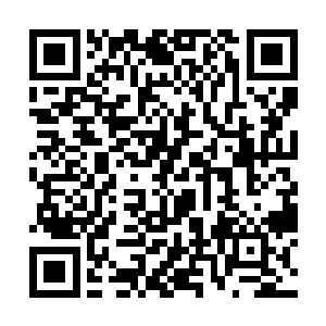 也是狠狠的缠绕在了那真龙之气化形的异蛇后半段上二维码生成