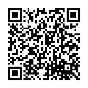 也是略显挑衅和胆大的看了一眼自己的这位大哥二维码生成