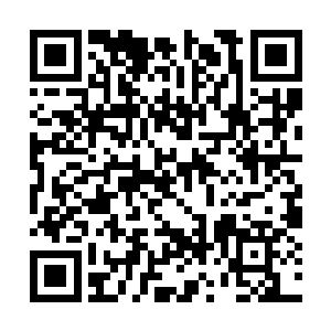 也是白立说这封印的宝物可以解决云梦之境的危机二维码生成