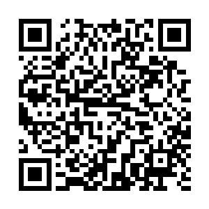 也是看准了昌江省尚无一个上规模成气候的中药材专业市场二维码生成